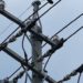 46 de persoane, amendate pentru că au deteriorat linii și instalații de comunicații electronice: Sumele sunt între 500 și 5 mii de lei