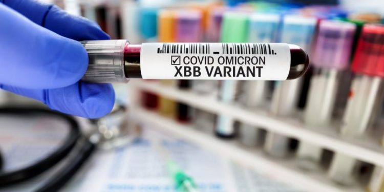 В США выявили новый подвид коронавируса XBB.1.5