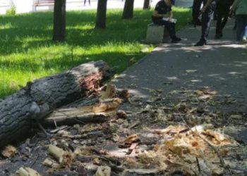 Обвиняемый по делу о смерти ребенка в парке «Алунелул» не признает своей вины | VIDEO