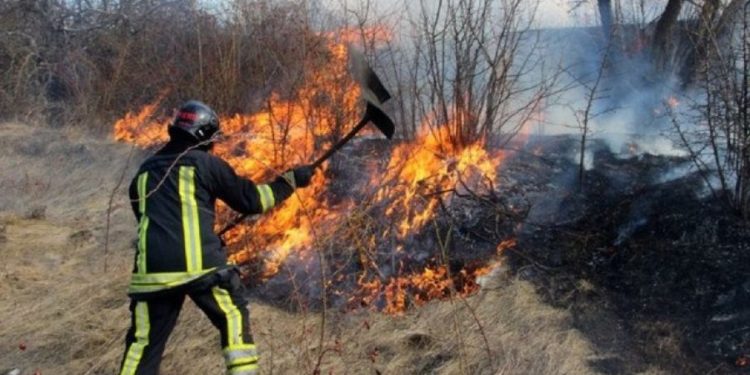 В столице пожарные тушат возгорание сухой травы