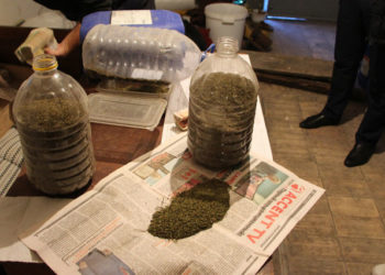 Droguri de sute de mii de lei, ridicate în nordul țării. Șapte persoane, suspectate de comercializarea substanțelor narcotice