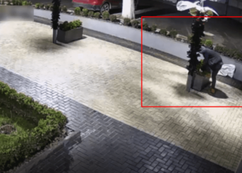 В столице полиция задержала трех мужчин по подозрению в краже декоративных деревьев