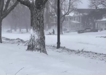 В штате Нью-Йорк зафиксировали сильнейшее за 40 лет землетрясение