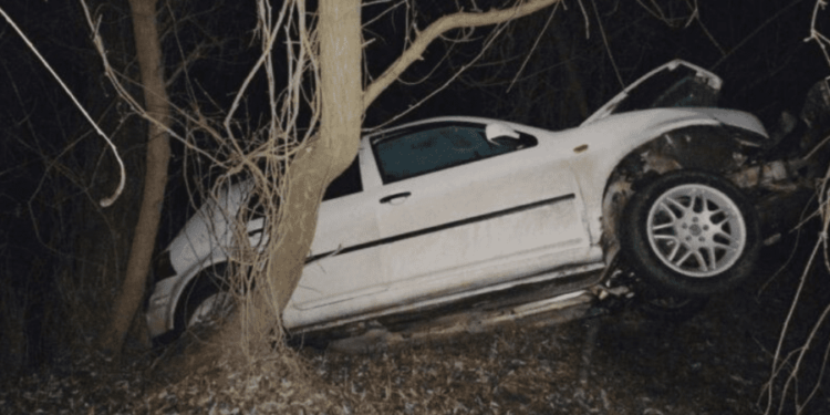 В Сороках водитель не справился с управлением и врезался в дерево