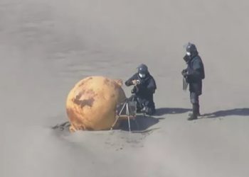 На берегу в японской Сидзуоке обнаружили неизвестный шар