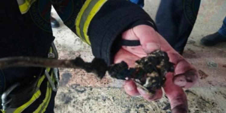 Пожар на обувной фабрике «Флоаре»