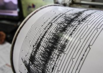 Cutremurul de marţi din Gorj a avut 200 de replici