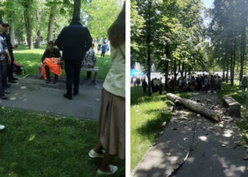 Copilul ucis de o creangă în Parcul Alunelul: Procuratura a publicat detalii despre cauza penală