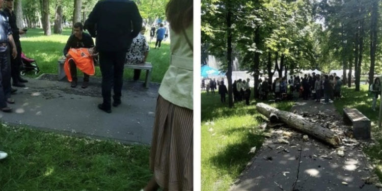 Copilul ucis de o creangă în Parcul Alunelul: Procuratura a publicat detalii despre cauza penală