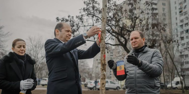 В память о жертвах землетрясения в Турции: в столице появились “пять аллей турецких городов”