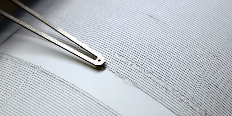 Un cutremur cu magnitudinea 3,9 s-a produs în timpul nopții în Gorj