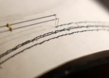 Un cutremur cu magnitudinea 3,9 s-a produs în timpul nopții în Gorj