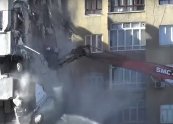 Demolare oprită după ce s-a cerut salvarea unor animale blocate: În ce fel de ţară trăim? Acestea sunt vieţi, nu le puteţi distruge aşa