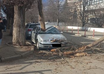 O mașină a fost strivită de un copac în fața  Centrului Republican de Diagnosticare din Chișinău. Automobilul aparține unui angajat medical | VIDEO