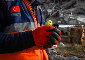 Ущерб экономике Турции от землетрясений может превысить $84 млрд