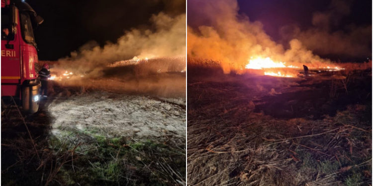Incendiile de vegetație uscată iau amploare în Tulcea. 110 hectare au ars sâmbătă în Delta Dunării. Pompierii au intervenit