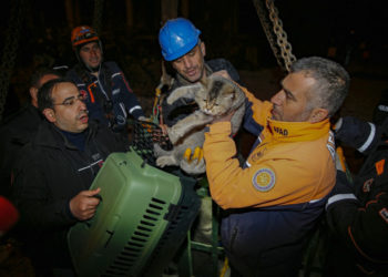 O clădire din Turcia nu va mai fi demolată după ce o dronă a arătat că acolo sunt pisici. Una a fost scoasă după 17 zile de la cutremur