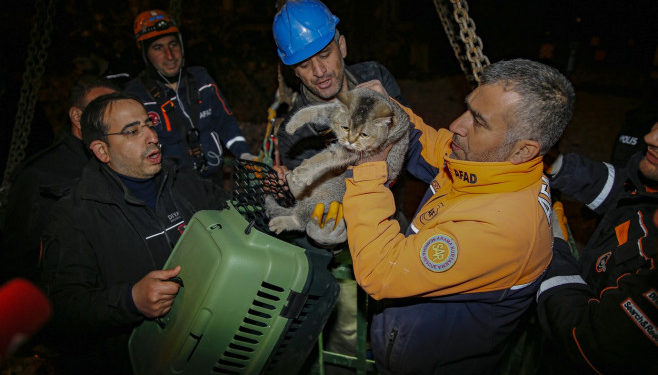 O clădire din Turcia nu va mai fi demolată după ce o dronă a arătat că acolo sunt pisici. Una a fost scoasă după 17 zile de la cutremur