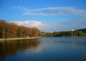 Два человека, пытавшиеся спасти собак, едва не утонули в столичном озере