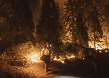 Ученые-климатологи выпустили «руководство по выживанию человечества»