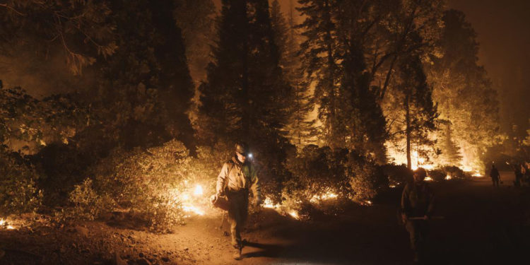 Ученые-климатологи выпустили «руководство по выживанию человечества»