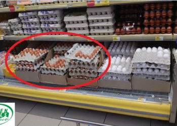Ouă infestate cu Salmonella, depistate de către ANSA într-un supermarket din sectorul Ciocana