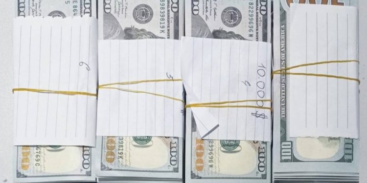 Происшествия на таможне: Были предотвращены попытки вывоза 100 тыс. долларов и незаконная миграция граждан Украины | VIDEO