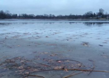 O fetiță de 8 ani din Călărași a fost găsită fără viață într-un bazin acvatic, la câțiva metri de casă