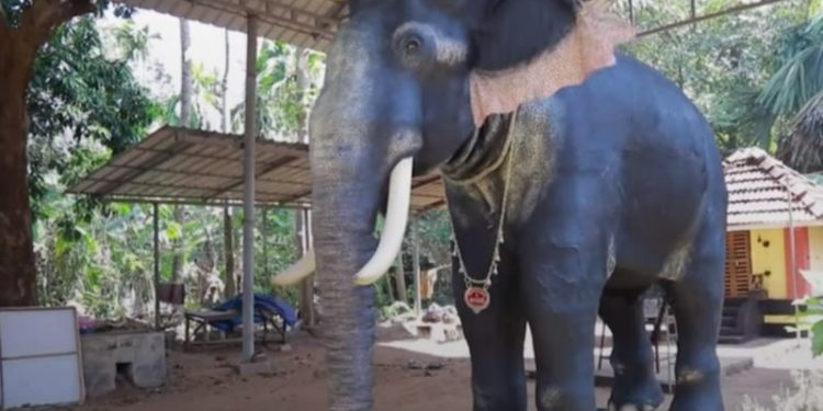 В индийском храме живого слона заменили на механического. Этого добились защитники животных