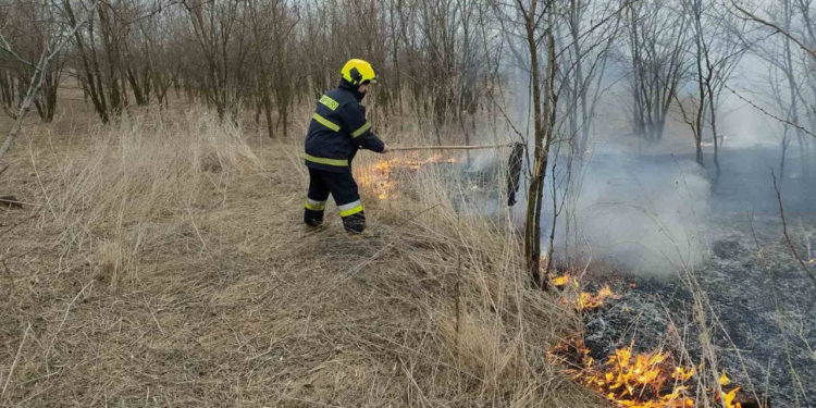 В Молдове за последние сутки выгорело около 30 гектаров земли