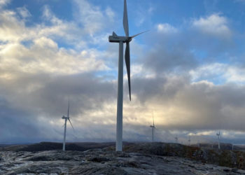 В Норвегии могут снести часть ветряных электростанций из-за вреда оленям