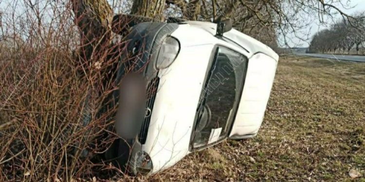 В Рыбнице автомобиль вылетел с дороги, врезался в дерево и перевернулся