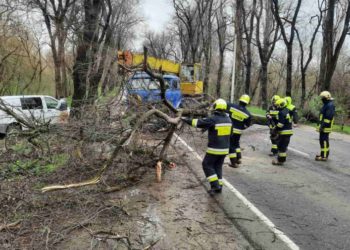 Premier Energy: Crengile copacilor au distrus mai multe conductoare electrice în 12 raioane din țară: 32 de localități au rămas în beznă  | VIDEO