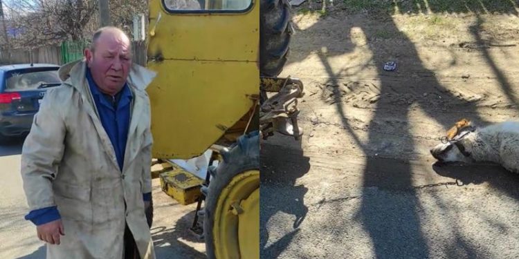 „Îl iei în cabină sau eu sun la poliție!”. Un bărbat, oprit după ce legase un câine străin de tractor și îl târa spre casă | Video 18+