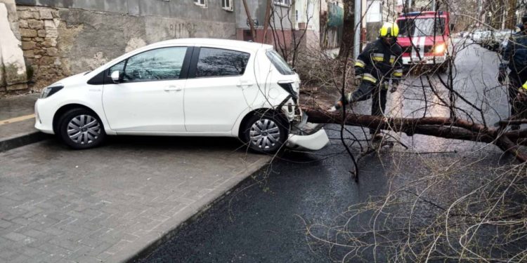 Vântul puternic face ravagii în toată ţara: Copaci dobărâți, mașini distruse, fire electrice rupte și drumuri blocate | VIDEO