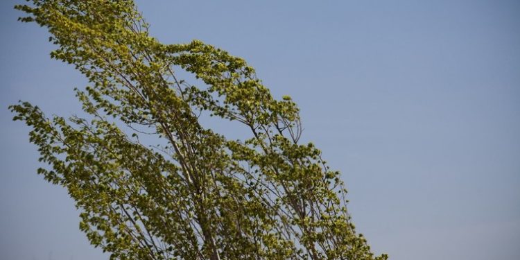 Îmbrăcați-vă bine! Mâine se așteaptă ploi slabe și vânt moderat