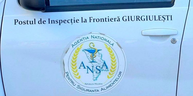 Șeful Postului de Inspecție la Frontiera Giurgiulești al ANSA și 10 subalterni, reținuți de CNA într-un dosar de corupție