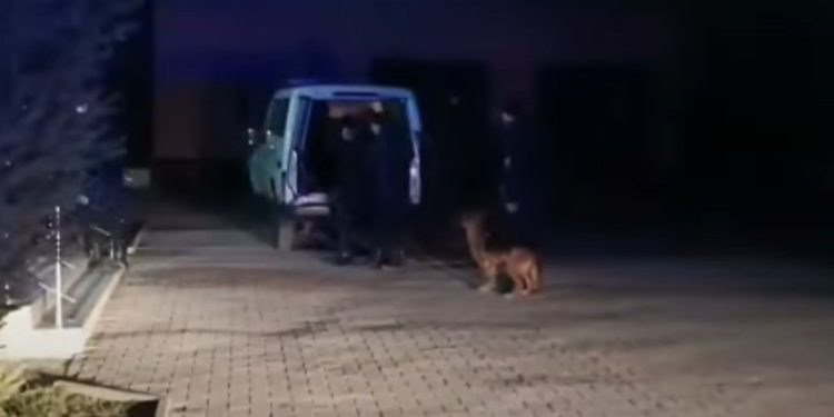 Două cauze penale, pornite pentru organizare a migrației ilegale și corupere activă