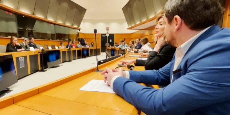 Eurodeputat german: Dacă Moldova vrea să devină membră UE, va trebui să adopte standardele ce asigură independența presei