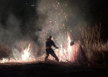 Incendiu de vegetație la periferia orașului Orhei: Pompierii au luptat cu focul ce s-a extins pe 10 hectare de teren | VIDEO