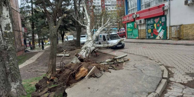 Curți de blocuri rămase fără lumină, copaci doborâți și persoane rănite. Consecințele vântului puternic din ultimele 24 de ore | VIDEO