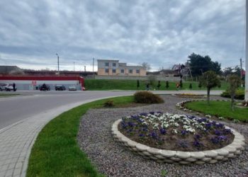 Explozie de culoare și frumusețe. Echipa Partidului „ȘOR” a plantat mii de viole și trandafiri pe străzile orașului Orhei și, după tradiție, au spălat trotuarele și au reînoit marcajele rutiere | VIDEO