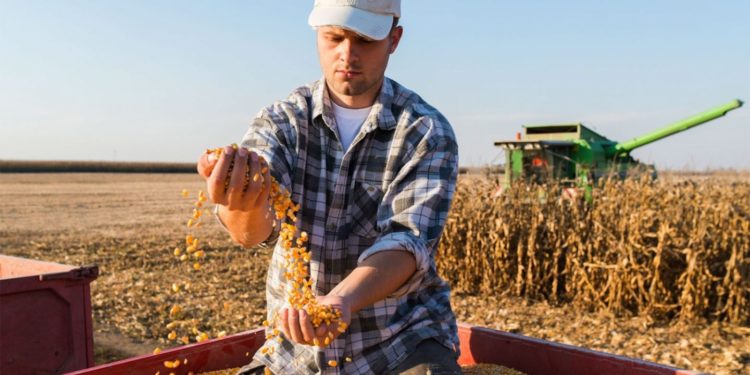 Fermierii cer Guvernului să achite datoriile de 1.4 miliarde de lei | VIDEO