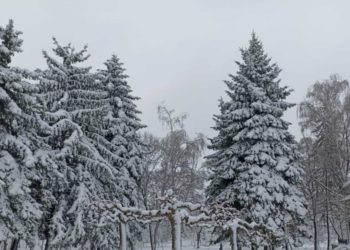 В Молдове продлен желтый код метеоопасности в связи с заморозками