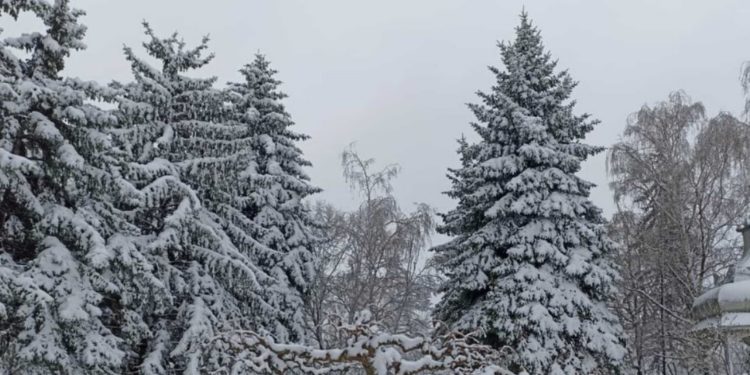 В Молдове продлен желтый код метеоопасности в связи с заморозками