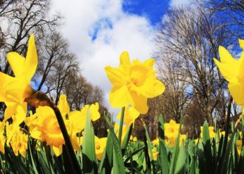 Ощутимо теплее и без осадков: какая погода ждет жителей Молдовы в субботу?