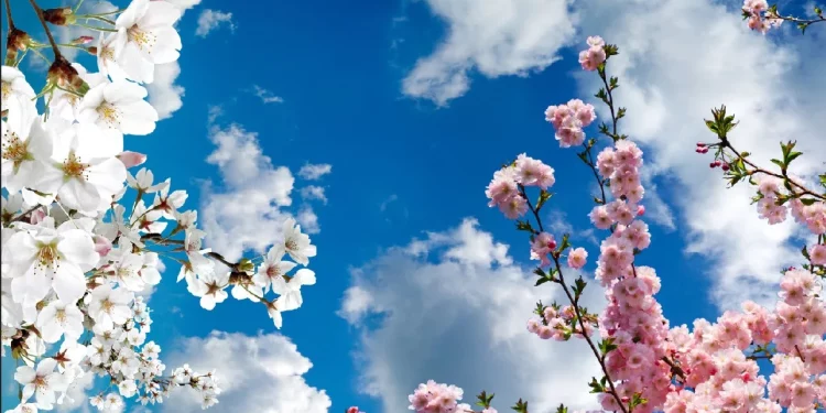 Weekend cu vreme capricioasă: Câte grade vor fi astăzi