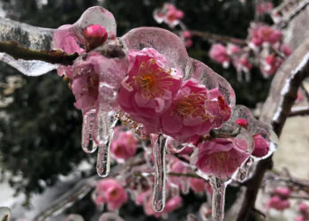 Înghețuri și precipitații puternice: două coduri galbene pentru Republica Moldova | VIDEO