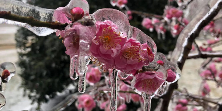 Înghețuri și precipitații puternice: două coduri galbene pentru Republica Moldova | VIDEO