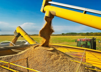 Ungaria extinde interdicţia asupra importurilor din Ucraina. Pe lângă cereale, lista e completată de făină, miere, ulei, carne